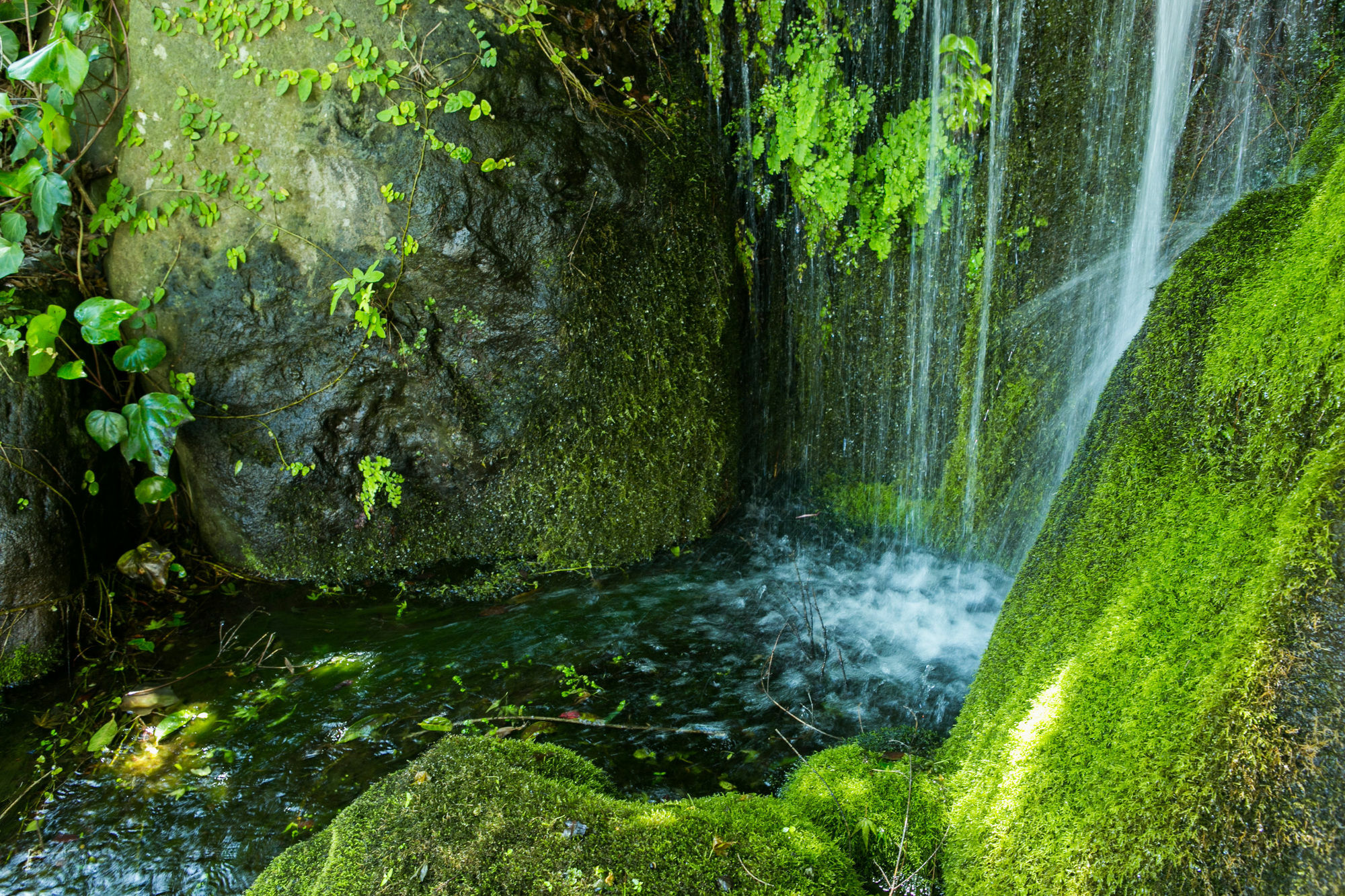 Yugawara-Onsen Manyoso Hotel Luaran gambar